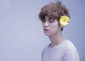 娱乐圈爆料赵丽颖王俊凯 第3张 娱乐圈爆料赵丽颖王俊凯 第3张